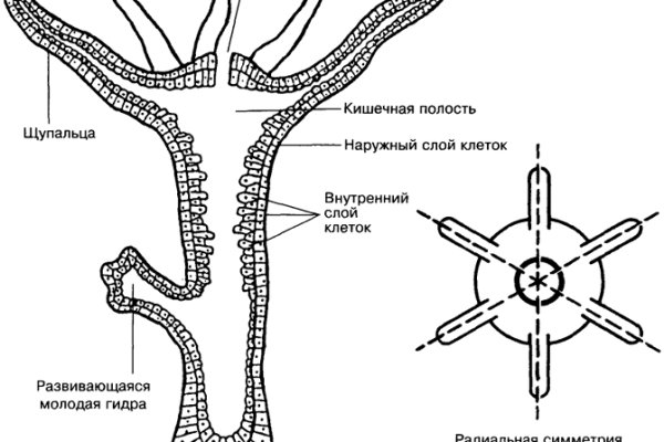 Теневые ссылки blacksprut